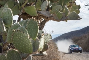 Jari-Matti Latvala/Miikka Anttila (FIN/FIN), Volkswagen Polo R WRC