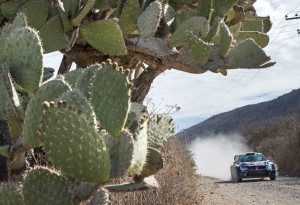 Jari-Matti Latvala/Miikka Anttila (FIN/FIN), Volkswagen Polo R WRC 